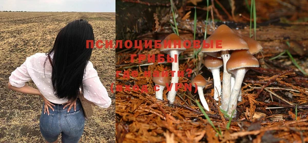 прущие крисы Балахна