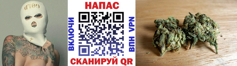 наркота Лагань Бошки Шишки SATIVA & INDICA